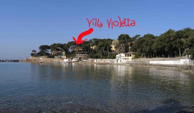Villa Violetta