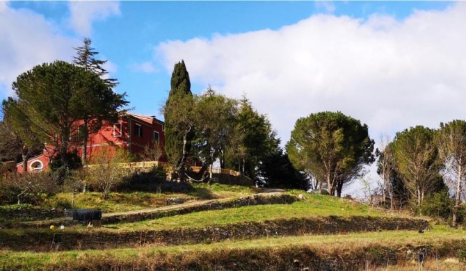 Villa San Donato in Bellaria