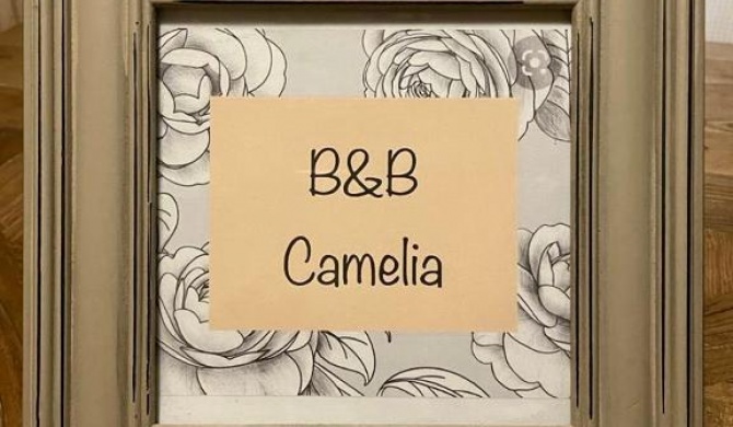 B&B Camelia